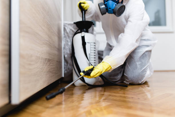 Best Wildlife Control Services  in Georgetown, GA