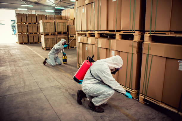 Best Wildlife Control Services  in Georgetown, GA