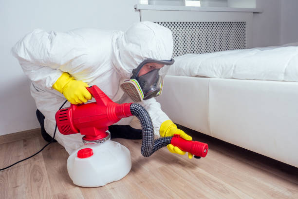 Trusted Georgetown, GA Pest Control Experts