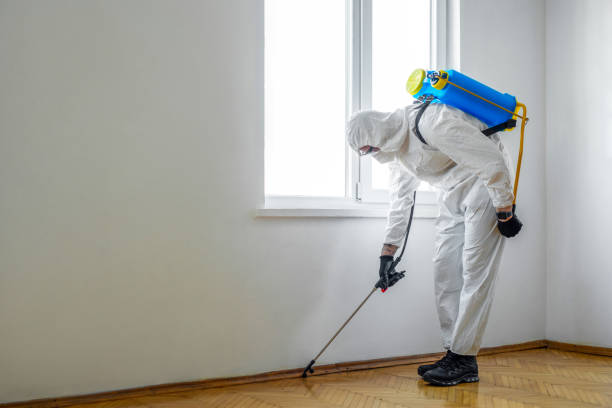 Best Wasp Removal Services  in Georgetown, GA