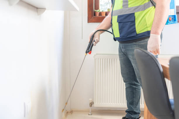 Best Mosquito Control Services  in Georgetown, GA