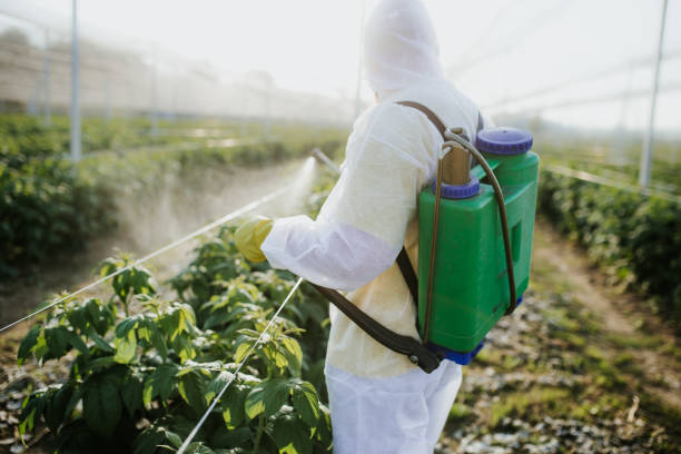 Best Exterminator Services  in Georgetown, GA